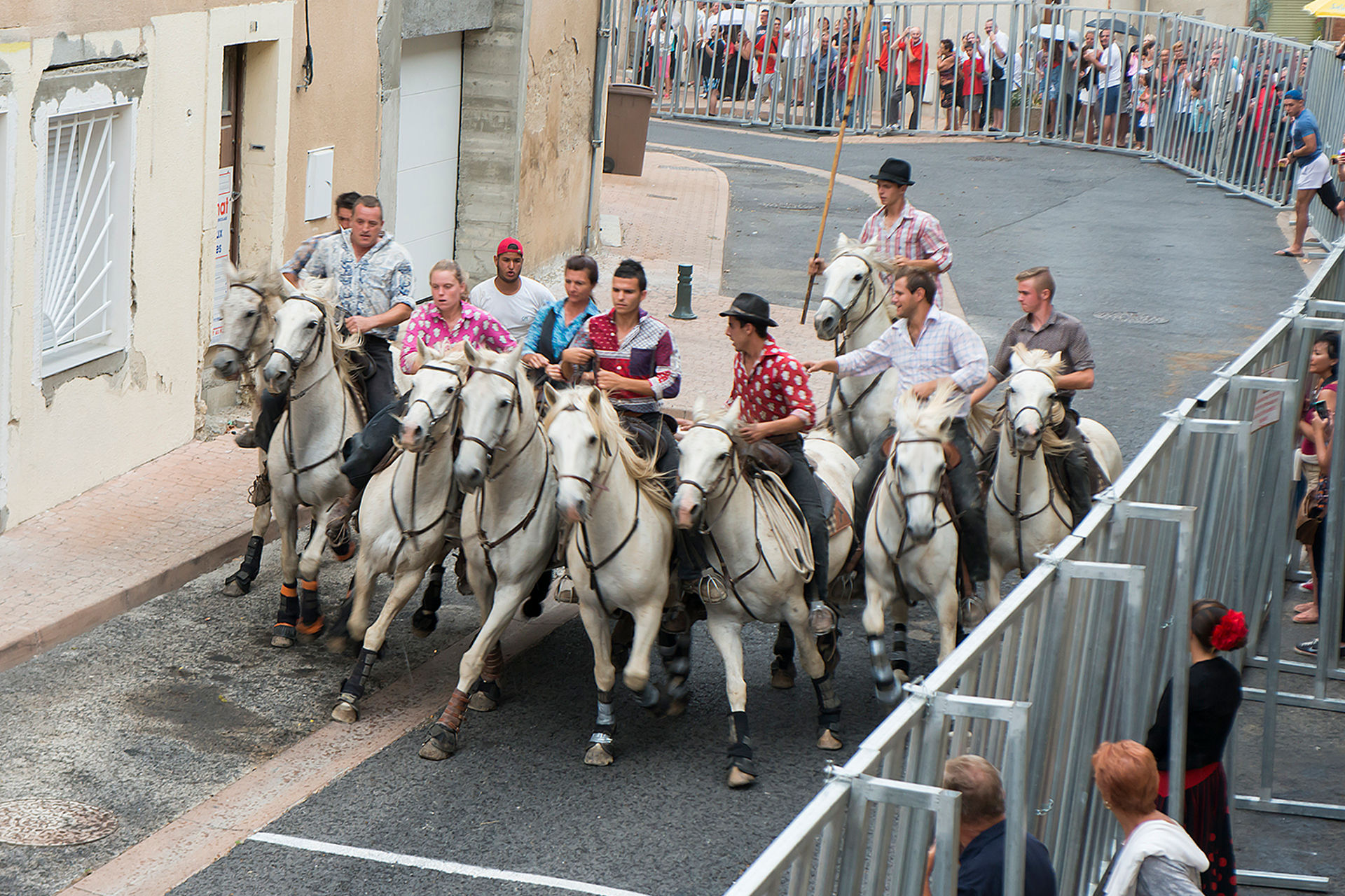 Fete du cheval toro Fete du cheval toro